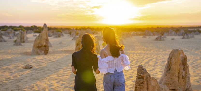 Pinnacles Sunset & Stargazing Tour with Dinner