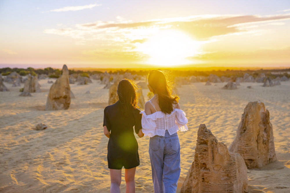 Pinnacles Sunset & Stargazing Tour with Dinner