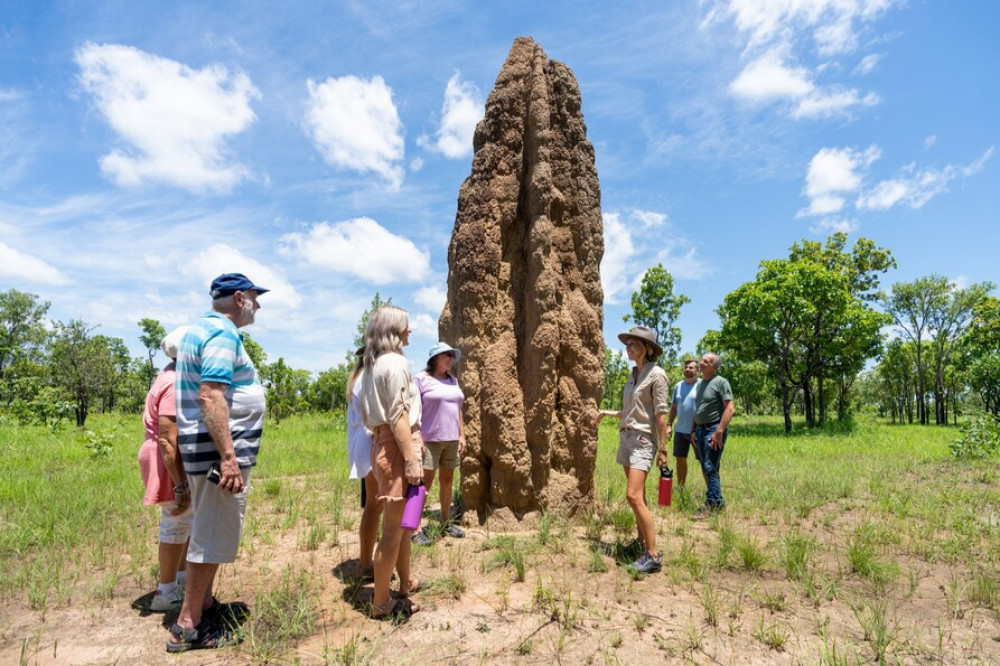 Litchfield National Park - with Wetlands Walk