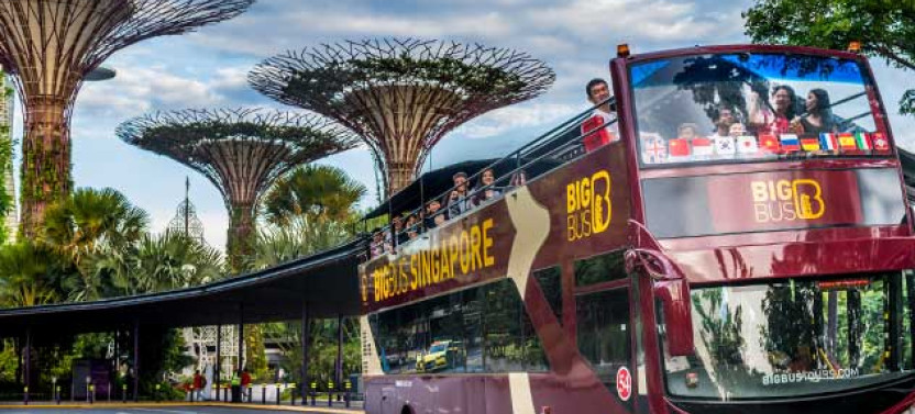 Big Bus Singapore Discover - Hop On Hop Off Bus Ticket - 24 Hours