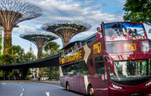 Big Bus Tours Ltd244