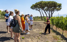 Cantina Del Vesuvio Winery2