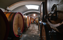 Cantina Del Vesuvio Winery3