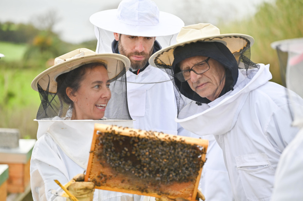 Bee Inspired: A Journey Through Central Azores And A Visit To An Apiary