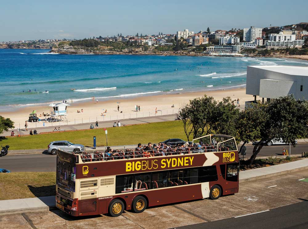 Big Bus Sydney Discover - Hop On Hop Off Bus Ticket - 24 Hours