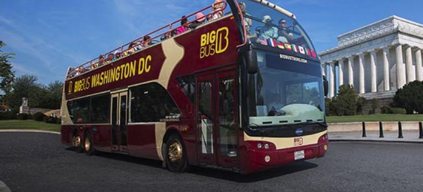 Big Bus DC: 24-Hour Hop-On Hop-Off Tour and Arlington Walking Tour