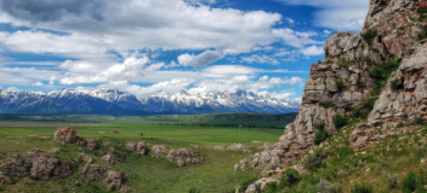 Grand Teton Tour - Half Day with Private Option