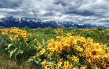 Teton Scenic Floats5