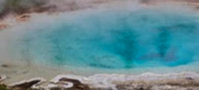 Yellowstone Lower Loop Tour with Private Option