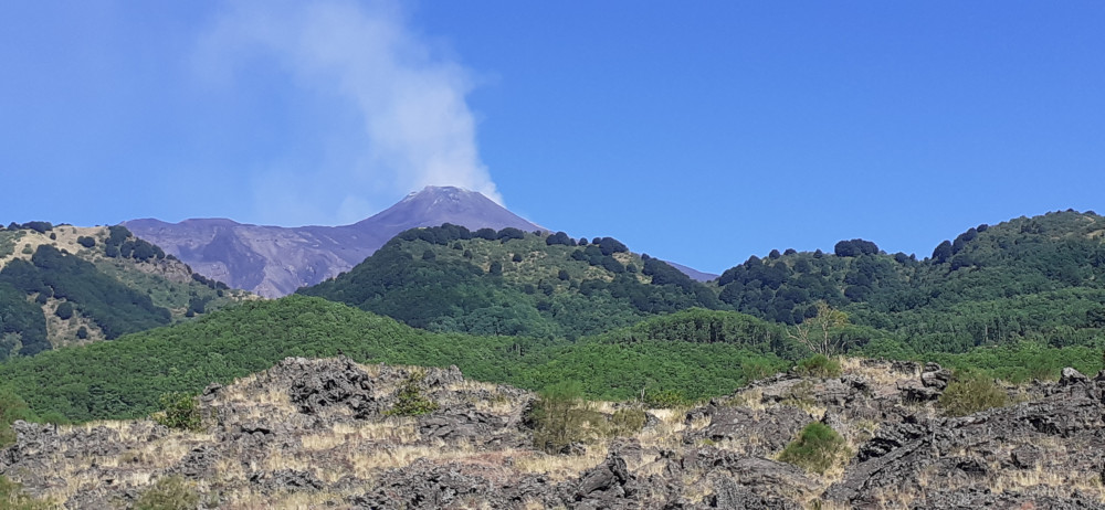 Private Shore Excursion: Etna, Taormina, & Messina or Catania)