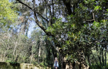 GO! Walks Portugal15