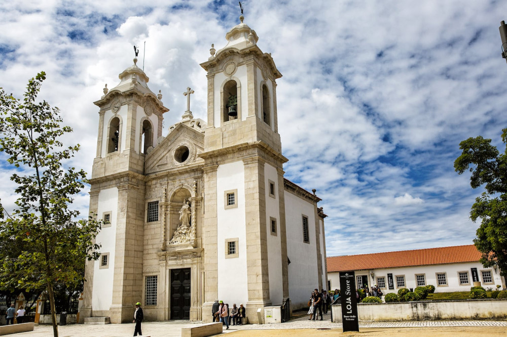 Bairrada Vineyards, Aliança Museum & Vista Alegre Factory