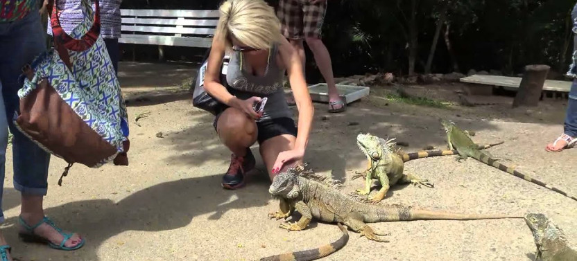 Roatan Mayan Eden Monkey, Slots, Butterfly Eco-Park and Snorkel