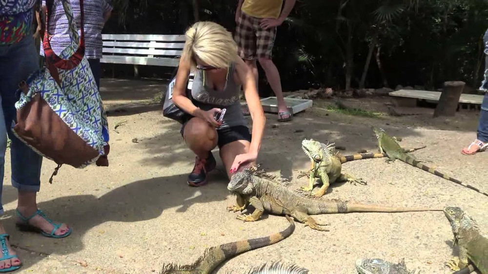 Roatan Anderson Tours