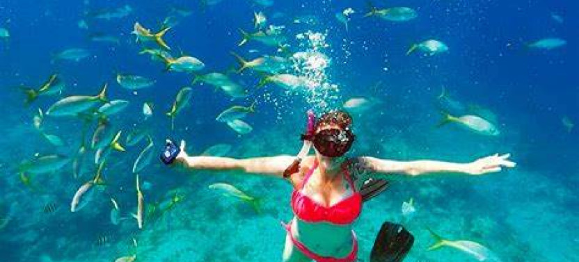 Roatan Mayan Eden Monkey, Slots, Butterfly Eco-Park and Snorkel