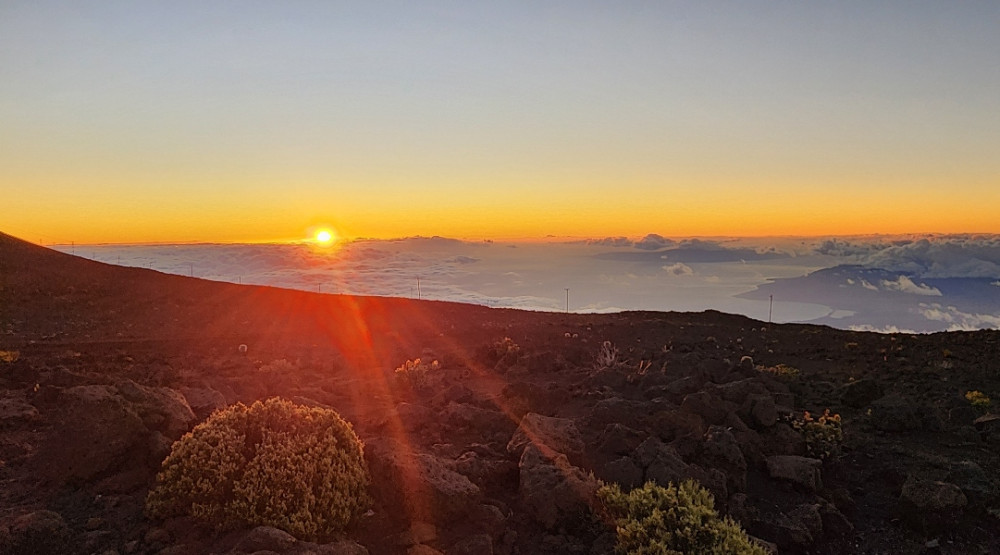 Polynesian Adventure