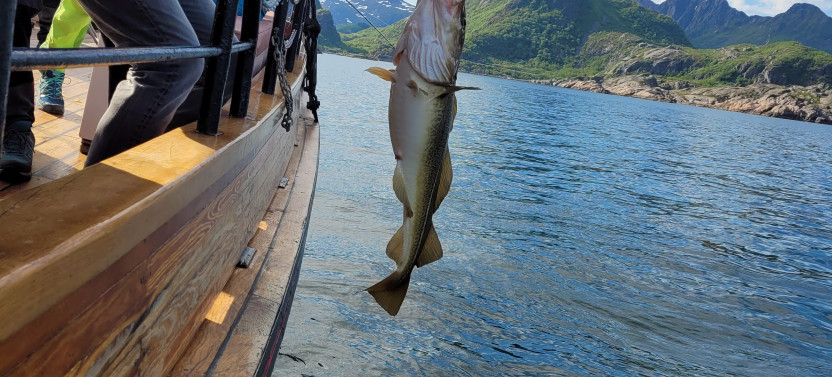 Fishing Trip From Svolvaer