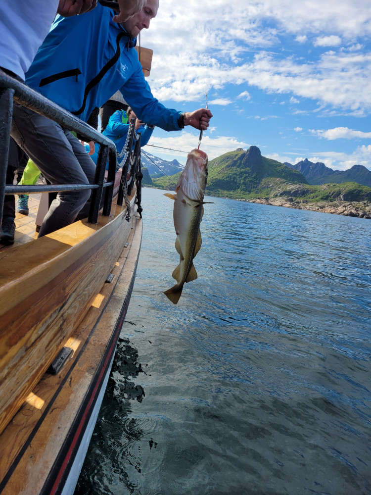 Fishing Trip From Svolvaer