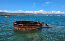 Go Tours Hawaii9