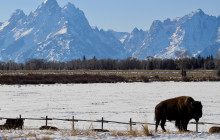 Teton Scenic Floats7