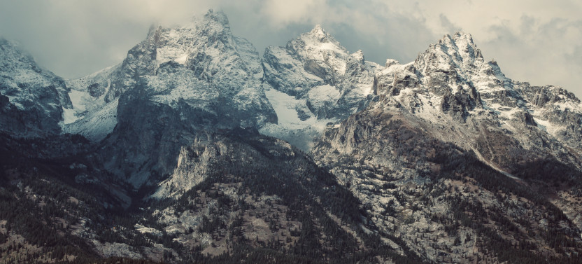 Grand Teton Tour - Half Day with Private Option