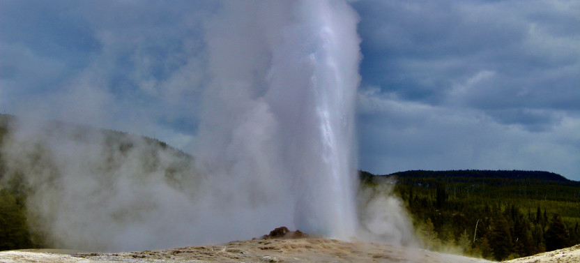 Yellowstone Lower Loop Tour with Private Option