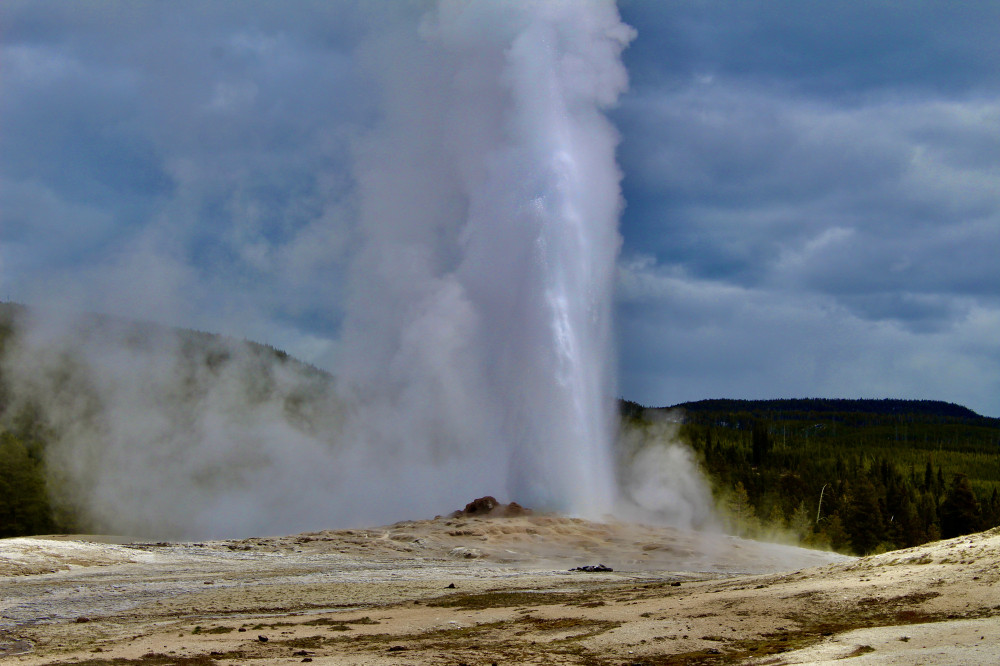 Yellowstone Lower Loop Tour with Private Option