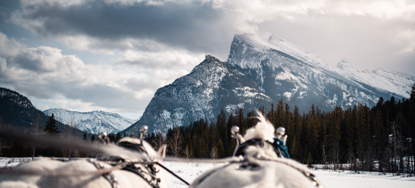 Banff Trail Riders Private Sleigh Ride