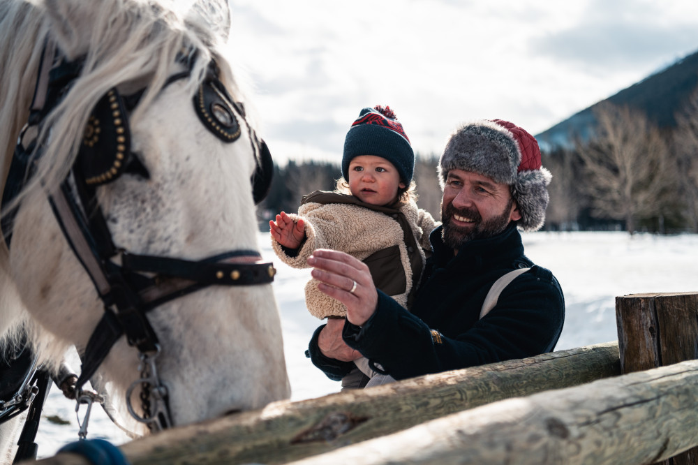 Banff Trail Riders Private Sleigh Ride