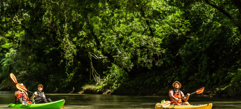Wildlife Safari Float by Kayak in Peñas Blancas River from Arenal