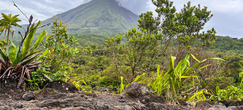 Arenal Volcano Hiking Trails Guided Tour