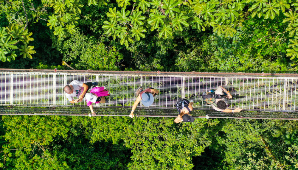 Hanging Bridges & La Fortuna Waterfall - Guided Tour