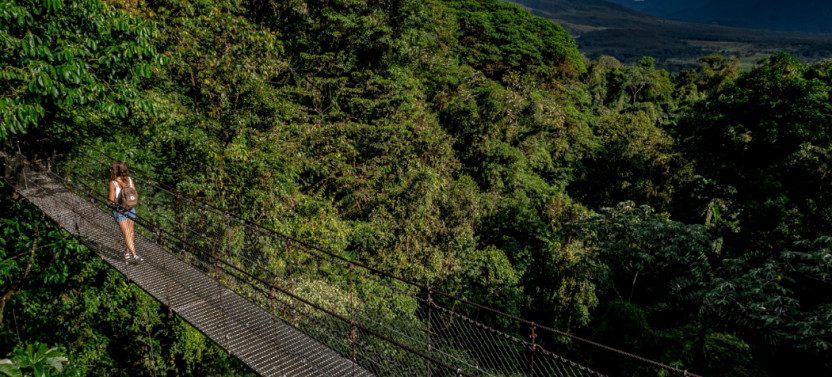 Hanging Bridges Guided Tour