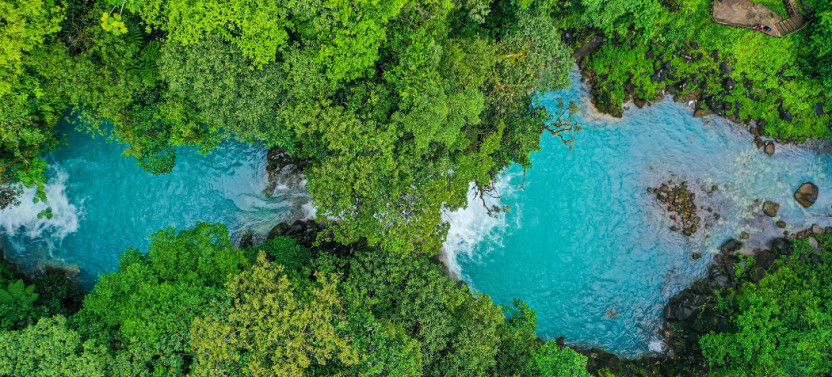 Rio Celeste Hiking from Arenal - National Park Guided Tour