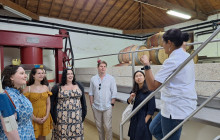 Endless Weekend Tours16