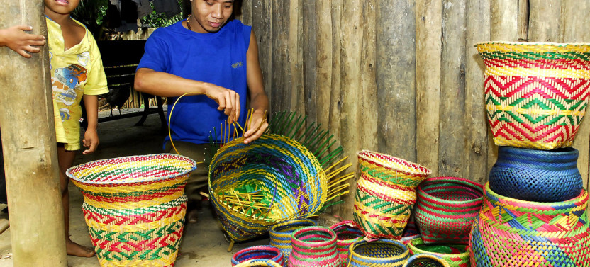 Santos Shore Excursion: Rain Forest And Indian Reserve