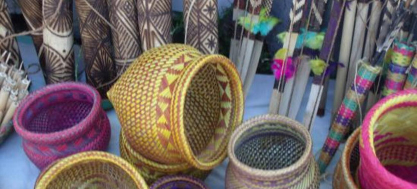 Santos Shore Excursion: Rain Forest And Indian Reserve