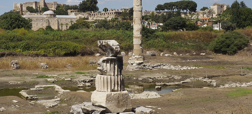 From Izmir: Private Ephesus Half Day Tour