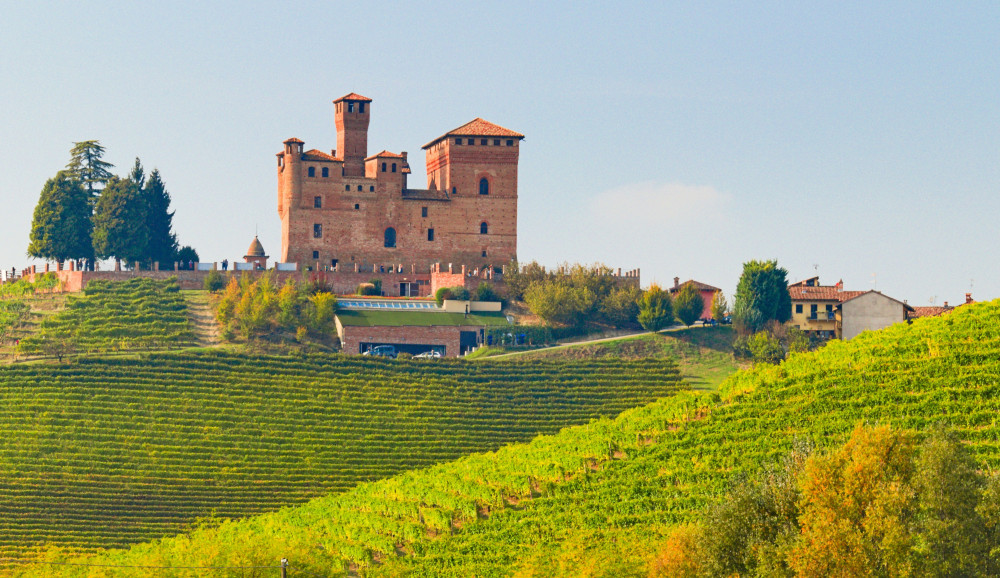 Alba & Langhe Region Day Trip from Milan & Barolo Wine Tasting Experience