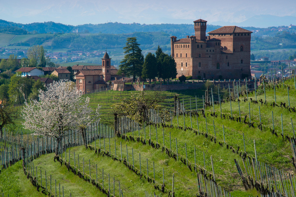 Semi-Private Alba & Langhe Wine Tour from Milan with Barolo Tasting