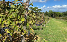 We Like Tuscany11