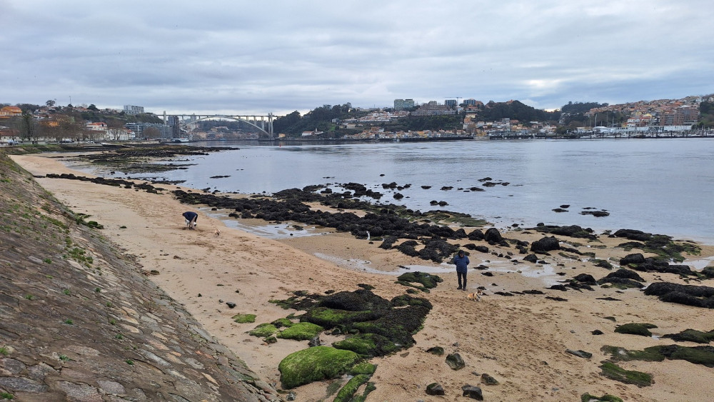 Endless Weekend Tours