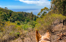 P?lehua Trail Rides3