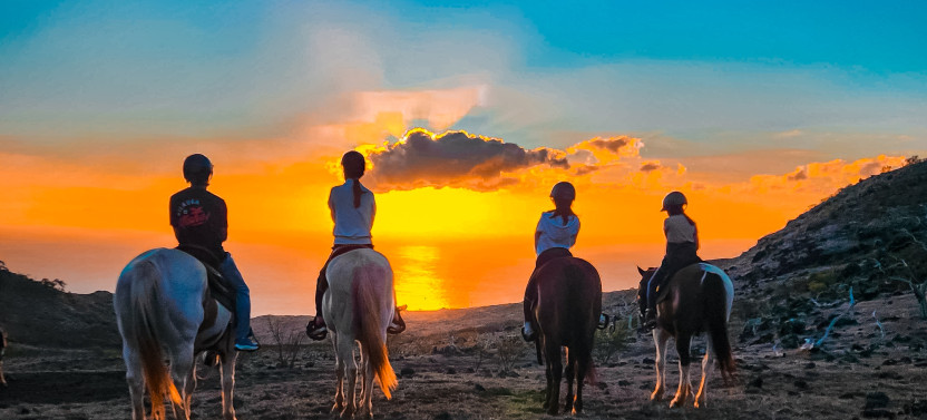 Group Sunset Horseback Ride along Oahu Coastline