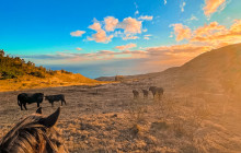 P?lehua Trail Rides3