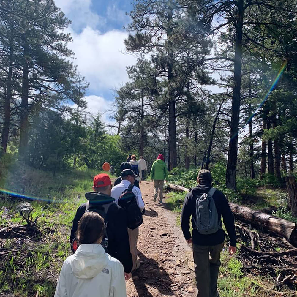 Denver Adventures | Zipline Tours
