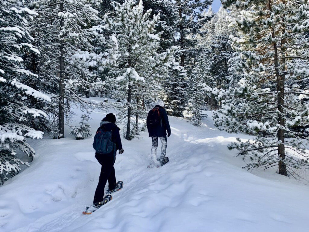 Denver Adventures | Zipline Tours