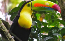Rainforest Adventures St Lucia1