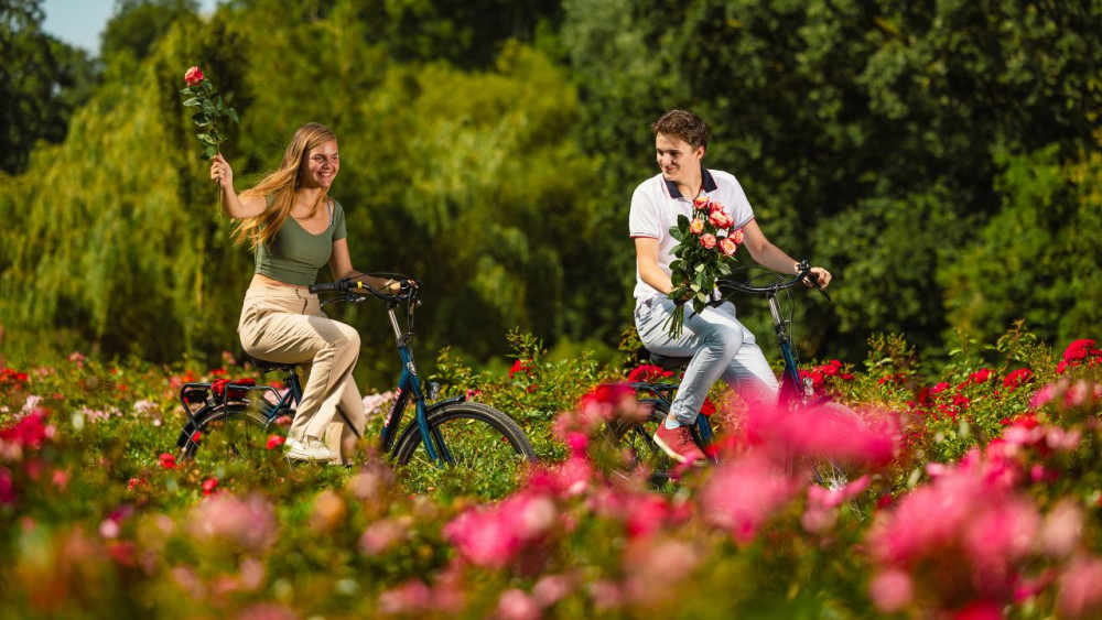 Five Day Bike Rental in Amsterdam - From Central Station