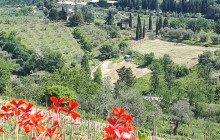 We Like Tuscany7